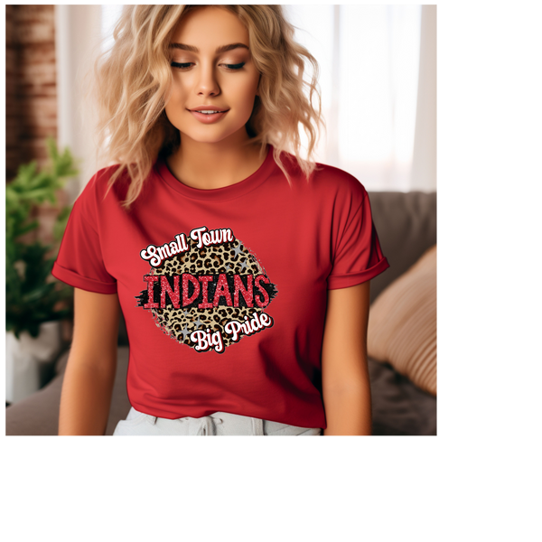 BALDWIN INDIANS SMALL TOWN BIG PRIDE CHEETAH TEE