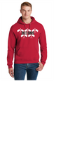 BALDWIN INDIANS COLOR GUARD FLAG HOODIE UNISEX JERZEES RED 50/50 HOODIE
