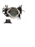 MYRA TUMBLEWEED PURSE LEATHER BLACK FRINGE WITH  BROWN WHITE HAIR ON