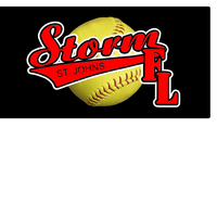 STORM ST. JOHNS CAR LICENSE PLATE