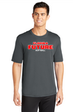 FLORIDA FUTURE SS DRIFIT TEE GREY