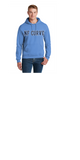 NORTH FLORIDA CURVE COLUMBIA BLUE UNISEX HOODIES