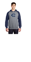 NORTH FLORIDA CURVE RAGLAN HOODIES 2 COLOR  UNISEX